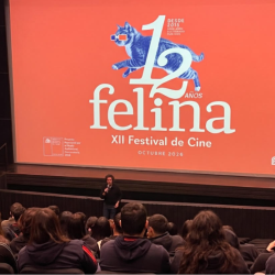 CULTURA: Festival de Cine Felina abre, hasta el 31 de julio, convocatoria para su edición 2026