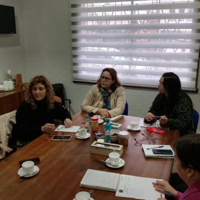 Directoras Regionales de la CAJ y SernamEG trazan futuras líneas de trabajo en Violencia de Género.