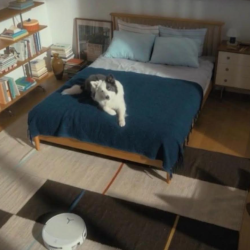 Pelos por todas partes: el reto que enfrentan los hogares con mascotas, pelos en pisos, alfombras o muebles.