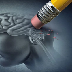 Único investigador chileno participa en estudio global que revoluciona comprensión del Alzheimer.