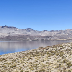 Junta de Vigilancia del Río Maule llama a precisar el debate sobre agua, infraestructura y seguridad de riego.