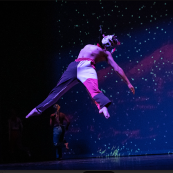 CULTURA: Soporte a la Creación, El TRM abre convocatoria para coproducir obras regionales.