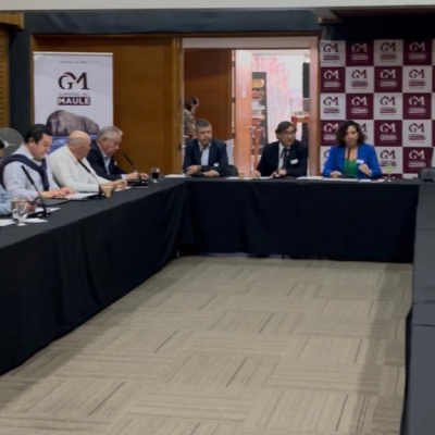 Gobierno Regional impulsa taller para avanzar en estudio de posible Área Metropolitana del Maule.