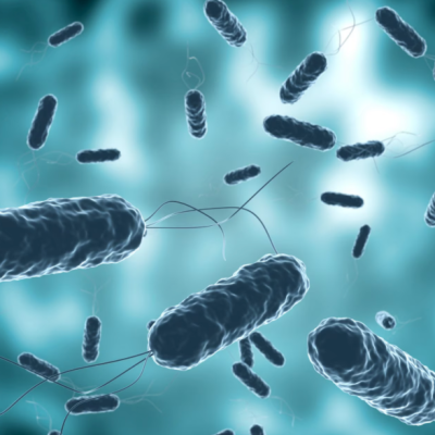 SALUD: Académicas indagarán efecto renal por helicobacter pylori, prevalencia en el Maule es del 80%.