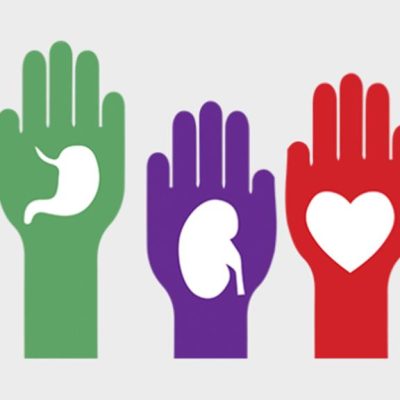 Día Nacional de la Donación de Órganos y Tejidos, cinco mitos a derribar sobre la donación.