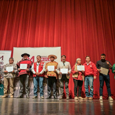 Linares: Gobierno del Maule respalda a 160 organizaciones sociales a través del Fondo 8% FNDR.