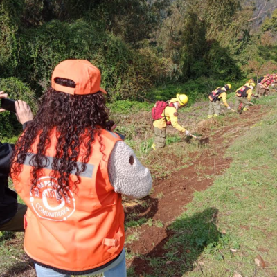EDUCACIÓN: Escuelas y colegios del Biobío se comprometen con la prevención de incendios.