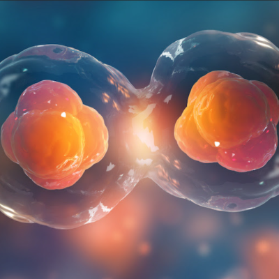 Expertos internacionales abordarán estrés oxidativo e implicancias del envejecimiento en la UTalca.