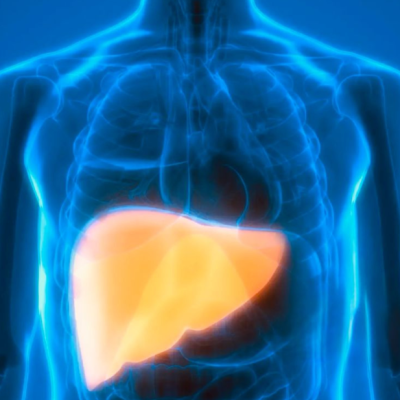 Investigación revela que derivado del Omega 3 podría atenuar el daño hepático por diabetes.