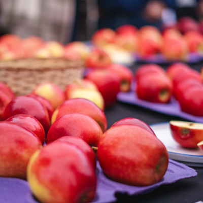UTalca y FIA se unen para buscar comercialización de nuevos híbridos de manzanos.