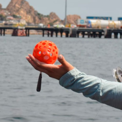 MEDIO AMBIENTE: Tecnología de la Patagonia surge como solución para el Lago Vichuquén.