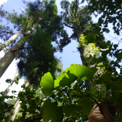 MEDIO AMBIENTE: PUCV integra proyecto multinacional sobre reservas de la biosfera.
