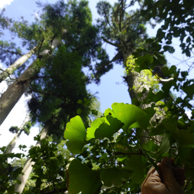 PUCV integra proyecto multinacional sobre reservas de la biosfera, territorios designados por UNESCO.