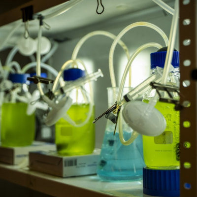 Consorcios de microalgas y bacterias: innovación biotecnológica para la recuperación del agua.