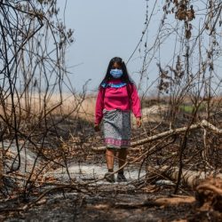 Los niños y niñas más allá de las llamas, las cicatrices emocionales que esta catástrofe deja.