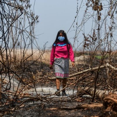 Los niños y niñas más allá de las llamas, las cicatrices emocionales que esta catástrofe deja.