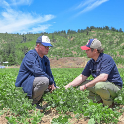 Gobernador Álvarez-Salamanca visita a usuarios programa que beneficia a 300 emprendedores agrícolas.