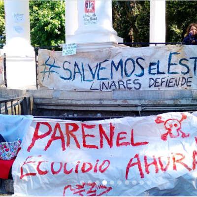 Vecinos de Ancoa y Linares se manifiestan por destrucción de Estero La Sombra.