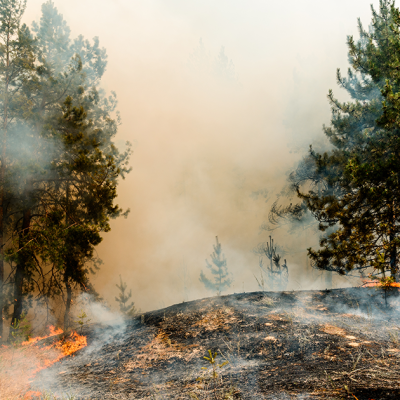SALUD: Cuidado con los incendios, los efectos nocivos para la salud de las personas.