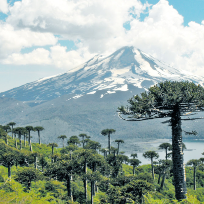 ECONOMÍA: Lanzan proyecto para desarrollar Hidrógeno Verde en La Araucanía.