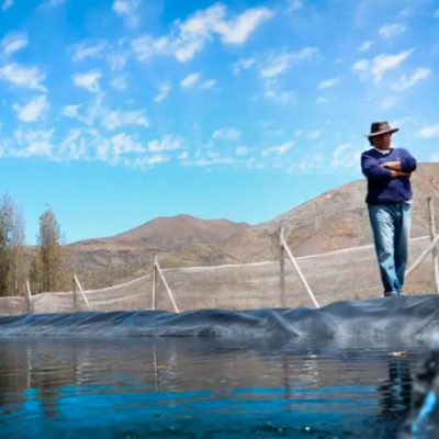 MEDIO AMBIENTE: Utilizan bioprocesos inspirados en la naturaleza para enfrentar crisis hídrica.
