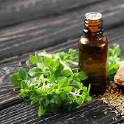 Aceite esencial de orégano muestra potencial para mejorar la resistencia a la insulina.