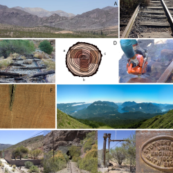 Durmientes históricos del Norte Chico fortalecen estudios climáticos en la Patagonia.