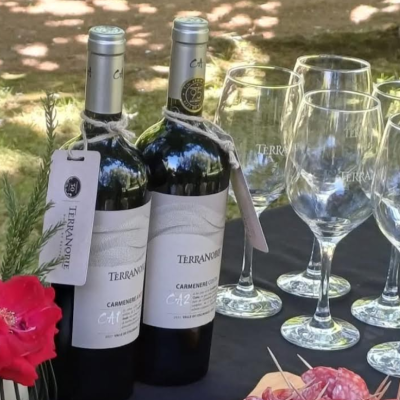 Viña del Valle del Maule reconocida top 100 Winemakers en Drink Business, apuesta por el enoturismo.