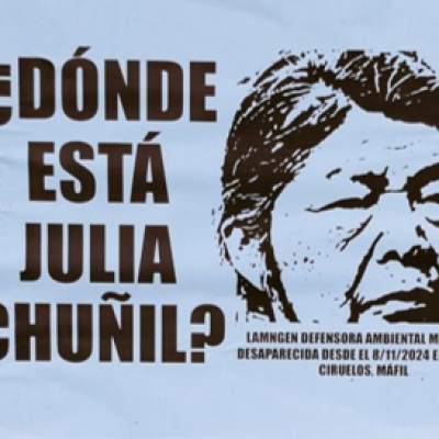 Organizaciones de chilenos en Ginebra, Suiza, envían carta abierta a Tohá por desaparición de Julia Chuñil.