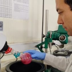 A través de hibridación molecular buscan mejorar el  tratamiento del cáncer de mama y colorrectal.