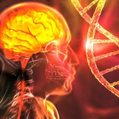 Esclerosis Lateral Amiotrófica, ELA: Devastador impacto de una enfermedad aún poco conocida.