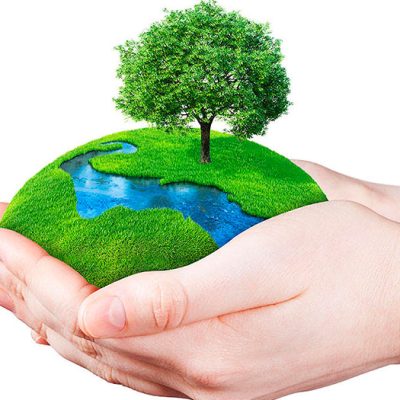 Día de la Tierra: la cuenta regresiva, algunas especies ya se están extinguiendo localmente.