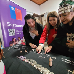 Dos representantes del Maule viajarán a Santiago a la XII Expo Feria Mujeres Emprendedoras Indígenas.