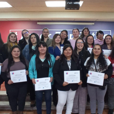 Programa Mujeres Jefas de Hogar dispone de 180 cupos en las ocho comunas de la provincia de Linares.