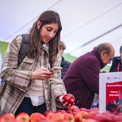 Chile fortalece liderazgo frutícola: manzana chilena se consolida en Brasil, Colombia y Ecuador.