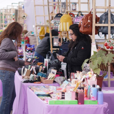 Expo Market Maule Programa Jefas de Hogar de Constitución tendrá su cuarta versión.