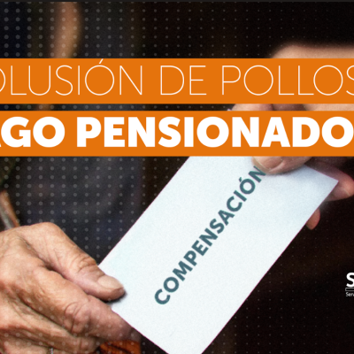 Comenzó pago de compensaciones por colusión de los pollos que beneficiará a 191 mil personas vulnerables.
