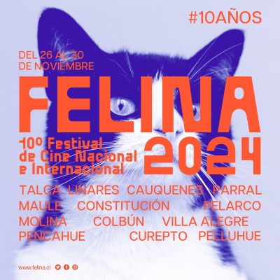 Festival de cine Felina celebra sus 10 años con funciones gratis en todo el Maule.