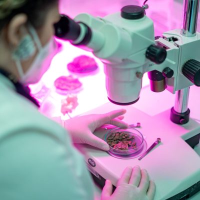 Agricultura espacial: Desarrollan cultivos de tomates y lechugas que podrían subsistir en Marte.