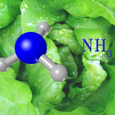 COLUMNA DE OPINIÓN: Exportación de amoníaco verde: un nuevo mercado para Chile