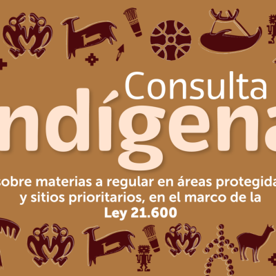 Invitan a Consulta indígena por regulación en áreas protegidas y sitios prioritarios de la región del Maule.