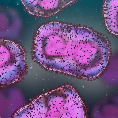 Viruela del mono: Síntomas, formas de transmisión y cuidados para prevenir la enfermedad