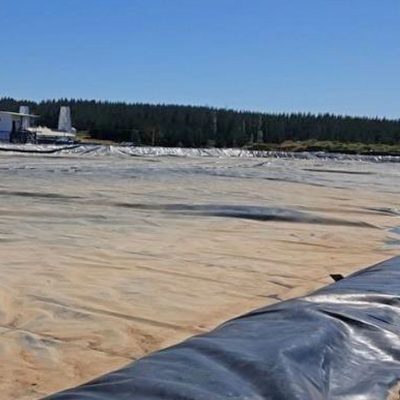 AGRICULTURA: SMA formula dos cargos contra la empresa Agrícola Coexca por olores molestos.
