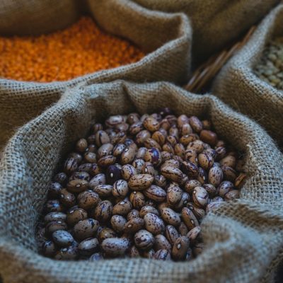 Investigadores destacan beneficios de los porotos para envejecer saludablemente