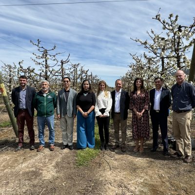 Cerezas chilenas marcarán nuevo récord en próxima temporada con aumento de 59% en exportaciones.